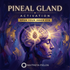 Pineal Gland Activation – energetically programmed fields | Maitreya Fields