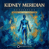 Kidney Meridian Activation (Zú Shǎo Yīn Shèn Jīng) – energetically programmed fields | Maitreya Fields